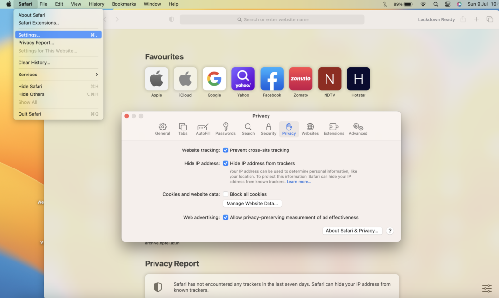 enable cookies in safari mac